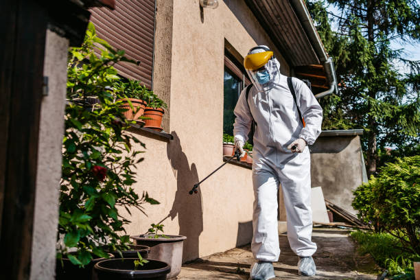 Best Affordable Pest Control Services  in The Village Of Indian Hill, OH